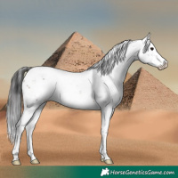 Horse Color:Brown Sabino