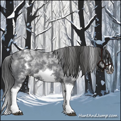 Horse Color:White Spotted Blue Roan Splash Frame Appaloosa