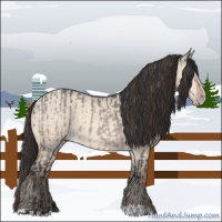 Horse Color:Platinum Brown Dun  and Amber Champagne Dun 