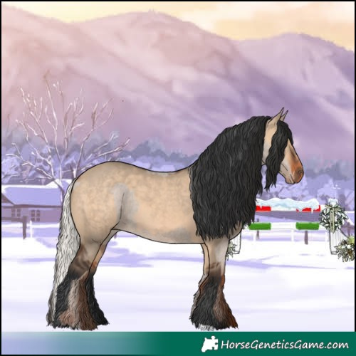 Horse Color:Silver Grullo Varnish and Bay Dun