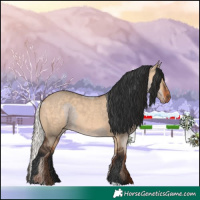 Horse Color:Silver Grullo Varnish and Bay Dun
