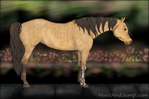 Horse Color:Buckskin Dun  and Buckskin Dun 
