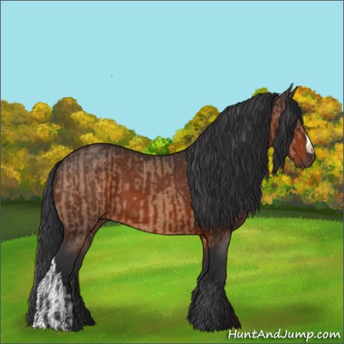Horse Color:Brown Dun  and Brown 