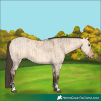 Horse Color:Bay Dun  and Amber Champagne Dun 
