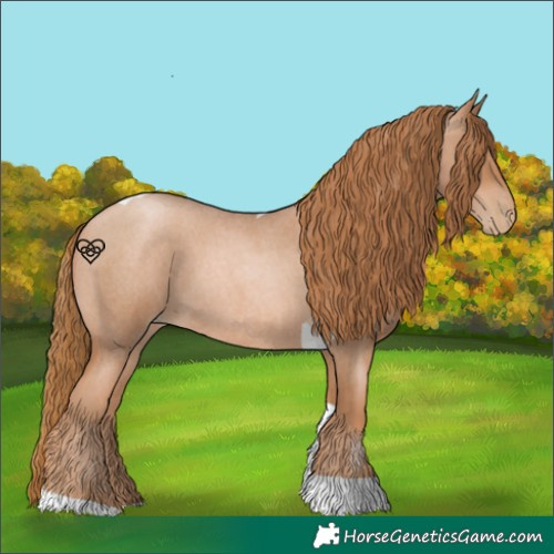 Horse Color:Red Roan Pearl Tobiano