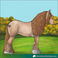 Horse Color:Red Roan Pearl Tobiano