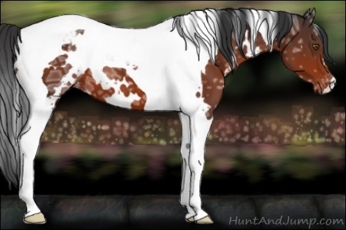 Horse Color:White Spotted Brown Ice Tobiano Varnish