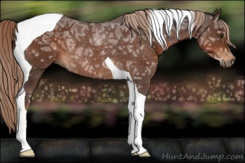 Horse Color:Liver Chestnut Ice Tobiano Rabicano