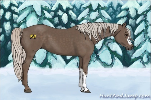 Horse Color:Silver Black 