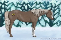 Horse Color:Silver Black 