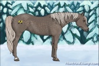 Horse Color:Silver Black 