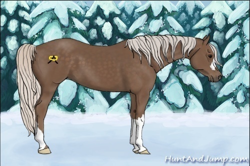 Horse Color:Silver Black 