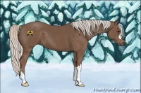 Horse Color:Silver Black 