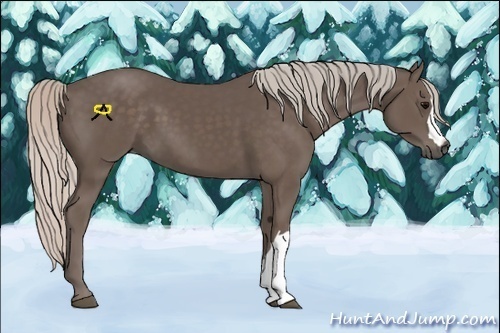 Horse Color:Silver Black 