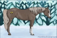 Horse Color:Silver Black 