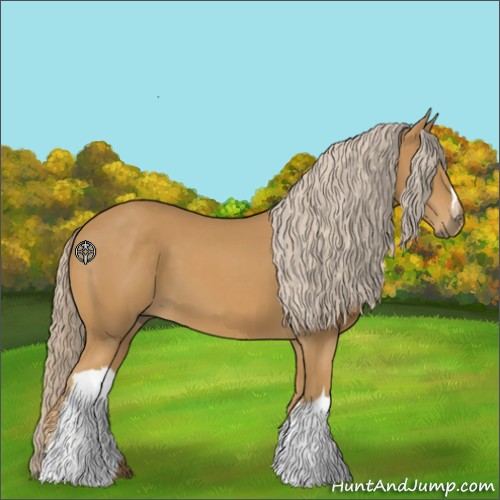 Horse Color:Palomino 