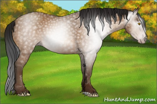 Horse Color:Gray Amber Champagne 