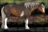 Horse Color:White Spotted Silver Smoky Black