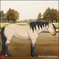 Horse Color:Bay Roan Dun 