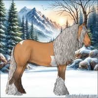 Horse Color:Silver Bay Tobiano 