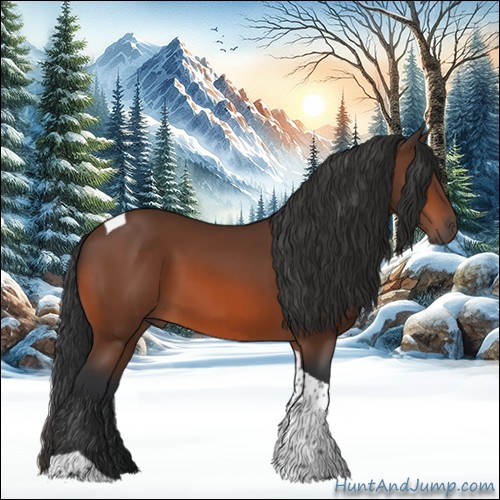 Horse Color:Bay Tobiano 