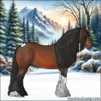 Horse Color:Bay Tobiano 