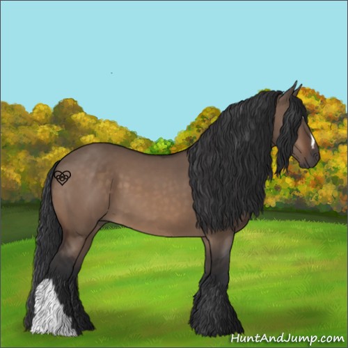 Horse Color:Brown Dun 