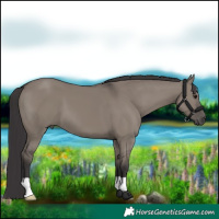 Horse Color:Smoky Grullo