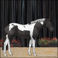 Horse Color:Liver Chestnut Tobiano 