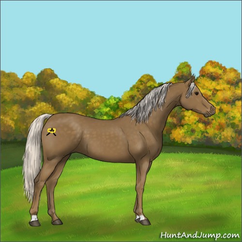 Horse Color:Silver Smoky Black 