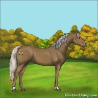 Horse Color:Silver Smoky Black 
