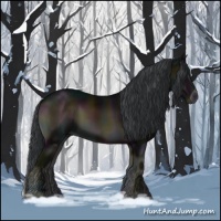 Horse Color:Midnight Brown Onyx 