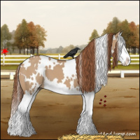 Horse Color:White Spotted Red Dun Sabino Splash 