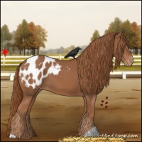 Horse Color:Chestnut Blanket 