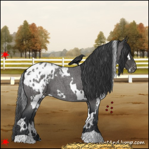 Horse Color:White Spotted Blue Roan Blanket 