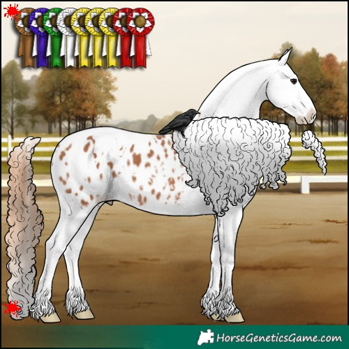Horse Color:White Spotted Bay Blanket 