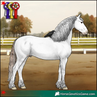 Horse Color:White Spotted Bay Appaloosa