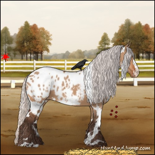 Horse Color:White Spotted Silver Bay Dun Appaloosa 