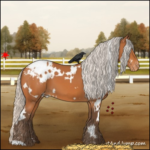 Horse Color:White Spotted Silver Bay Varnish