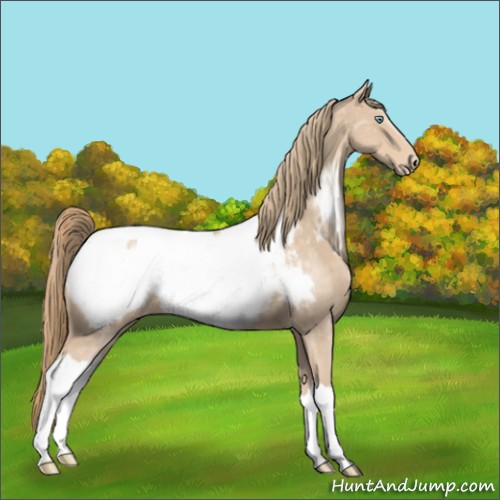 Horse Color:Perlino Near Fewspot