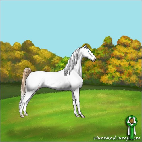 Horse Color:Amber Cream Champagne Dun Frame Appaloosa 