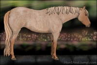 Horse Color:Red Roan
