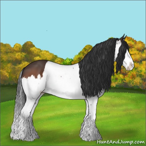 Horse Color:Bay Splash 