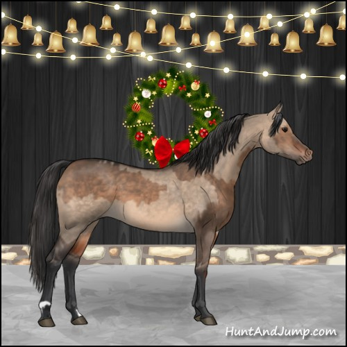 Horse Color:Bay Dun  and Brown Dun 
