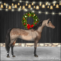 Horse Color:Bay Dun  and Brown Dun 