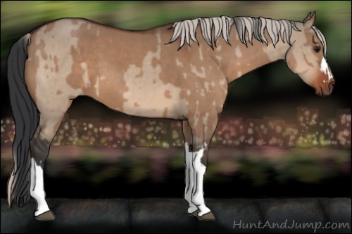 Horse Color:Bay Dun  and Silver Bay Dun 