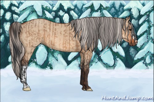 Horse Color:Bay Dun and Silver Bay Dun