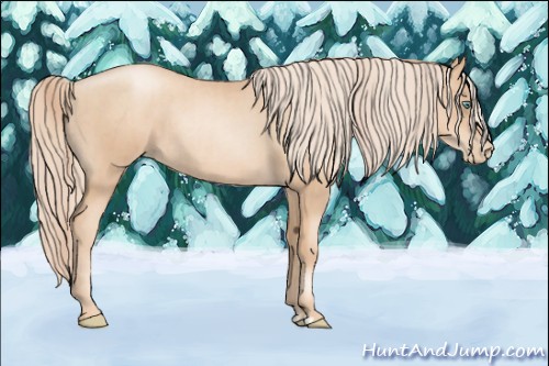 Horse Color:Gold Champagne Pearl Rabicano  and Gold Champagne Pearl Rabicano 