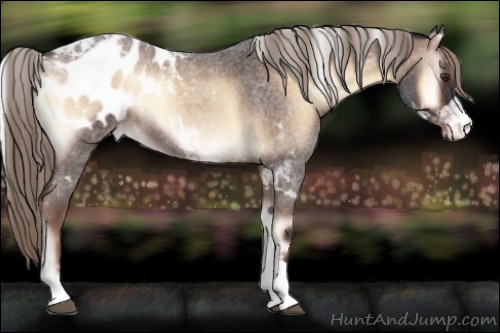 Horse Color:Liver Red Onyx Roan Tobiano Blanket Rabicano