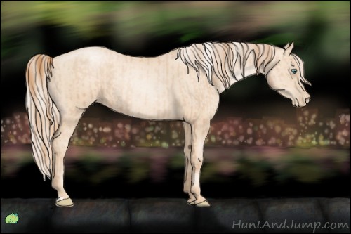 Horse Color:Gold Champagne Pearl Rabicano and Gold Cream Champagne Pearl Rabicano